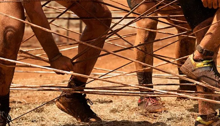 The Jungle Race