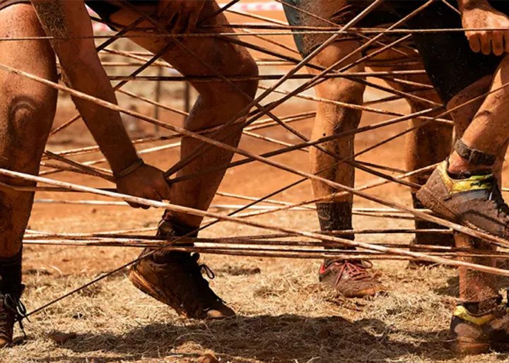 The Jungle Race
