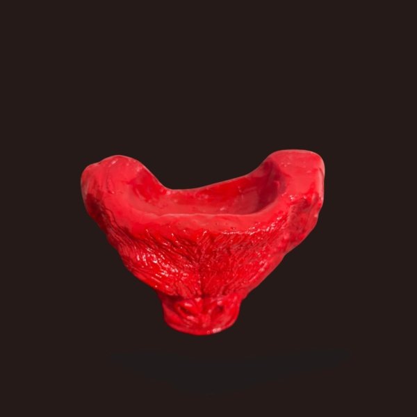 Gorilla Valley Head – Agarre Tipo Escalada para OCR y Entrenamiento Funcional - Imagen 3
