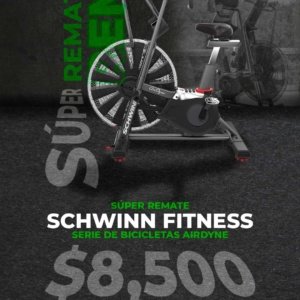 Bicicleta Schwinn Airdyne AD Pro Seminueva