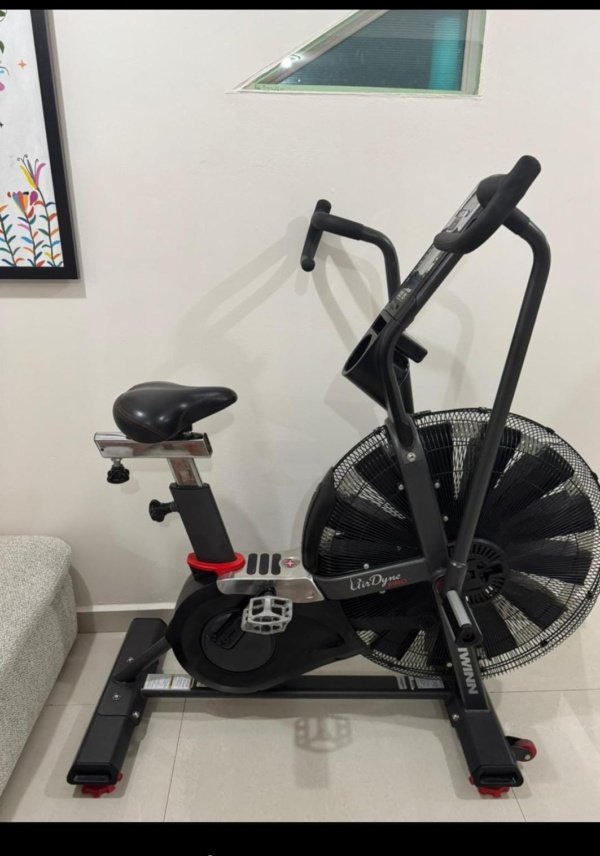 Bicicleta Schwinn Airdyne AD Pro Seminueva - Imagen 2